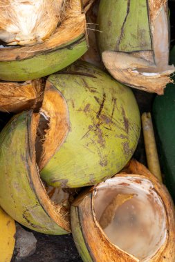 Yere hindistan cevizi kabuğu yığını. Mermiler yeşil ve kırılmış.