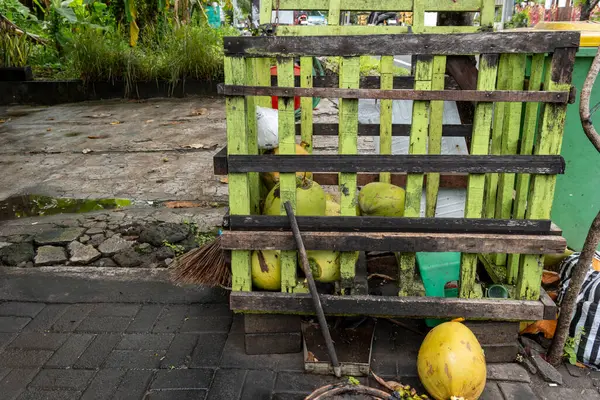 Yere yeşil hindistan cevizi yığını. Hindistan cevizleri olgunlaşmış ve sert bir kabukları var.