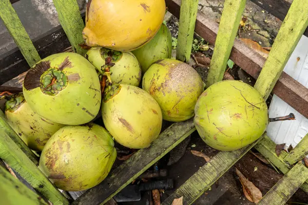 Yere yeşil hindistan cevizi yığını. Hindistan cevizleri olgunlaşmış ve sert bir kabukları var.