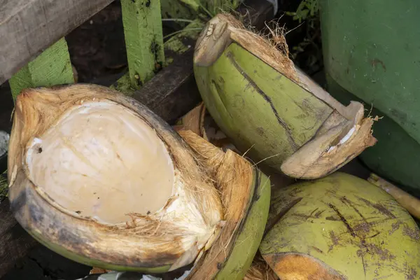 Yere hindistan cevizi kabuğu yığını. Mermiler yeşil ve kırılmış.