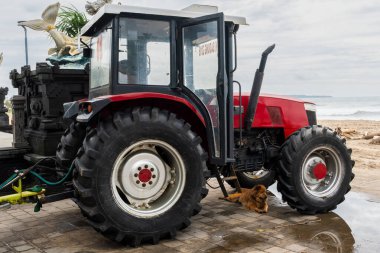 Bali, Endonezya - 11 Aralık 2024: Köpek traktörün altında yatıyor. Köpek kahverengi ve rahatlamış.