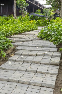 Yeşil bitkilerden oluşan bir yolu olan tuğla yürüyüş yolu bir binaya çıkıyor. Bitkiler yemyeşil ve yemyeşil. Geçit de tuğladan yapılmış.