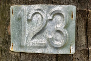 Üzerinde 123 yazan ağaç. Ağaç yeşil bitkilerle çevrilidir. 123 numara metal bir plaka üzerinde.