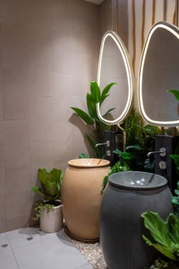 Lavabosu ve aynası olan bir banyo. Ayna bitkilerle çevrili ve lavabo taştan yapılmış.