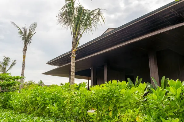 Önünde büyük yeşil bir ağaç olan ev. Ev yemyeşil bir bahçeyle çevrili.