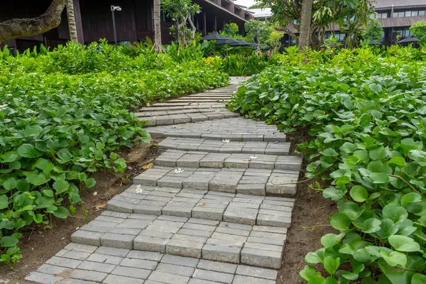 Yeşil bitkilerden oluşan bir yolu olan tuğla yürüyüş yolu bir binaya çıkıyor. Bitkiler yemyeşil ve yemyeşil. Geçit de tuğladan yapılmış.