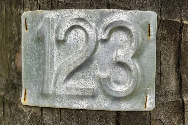 Üzerinde 123 yazan ağaç. Ağaç yeşil bitkilerle çevrilidir. 123 numara metal bir plaka üzerinde.