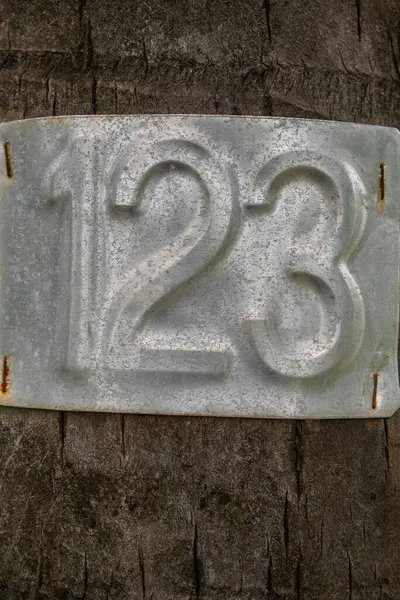 Üzerinde 123 yazan ağaç. Ağaç yeşil bitkilerle çevrilidir. 123 numara metal bir plaka üzerinde.