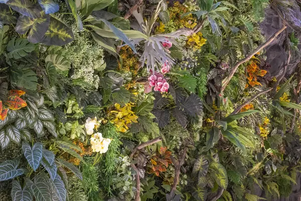 Çeşit çeşit bitki ve çiçeklerle dolu yemyeşil bir orman. Renkler parlak ve canlı, yaşam ve enerji hissi yaratıyor.