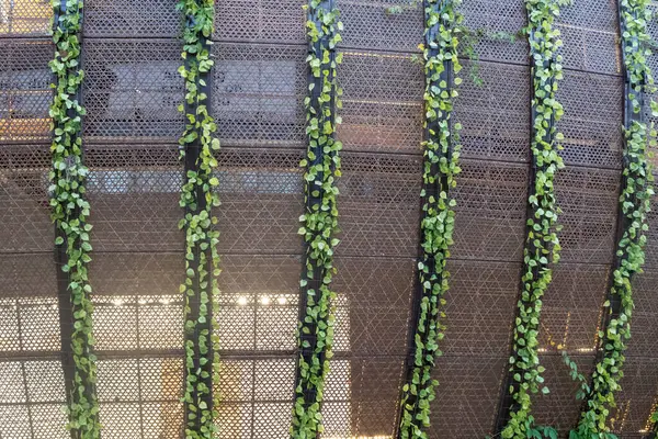 Yeşil ve kahverengi renkli bir bina, ve sarmaşıklarla kaplı. Sarmaşıklar, binaya eşsiz bir hayat ve hareket hissi verecek şekilde düzenlenmiştir.