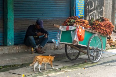 Jakarta, Endonezya - 9 Şubat 2025: Adam kaldırımda meyve dolu bir arabanın yanında oturuyor. Bir kedi yürüyor.
