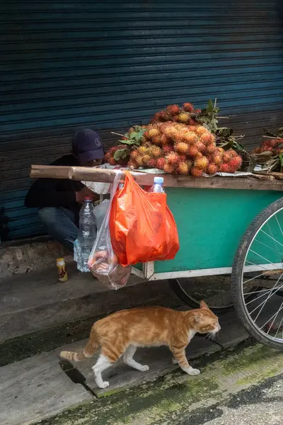 Jakarta, Endonezya - 9 Şubat 2025: Adam kaldırımda meyve dolu bir arabanın yanında oturuyor. Bir kedi yürüyor.