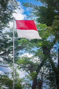 Havada kırmızı ve beyaz bayrak dalgalanıyor. Bayrak bir direğin üzerinde ve bu da Endonezya bayrağı.