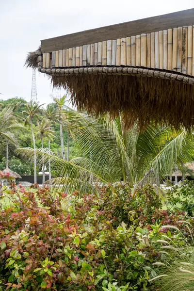 Bambu çatılı yemyeşil bahçe ve arka planda palmiye ağaçları. Bahçe yeşilliklerle dolu ve tropik bir havası var.