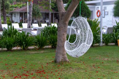 Gili Trawangan, Endonezya - 4 Ocak 2025: yemyeşil bir bahçede ağaçta sallanan beyaz salıncak. Salıncak bir sürü yeşillikle çevrili ve arka planda birkaç şezlong var.