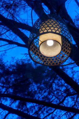 Bir ağaç dalından sarkan ışıklı fener. Fener yanıyor ve gökyüzü mavi.