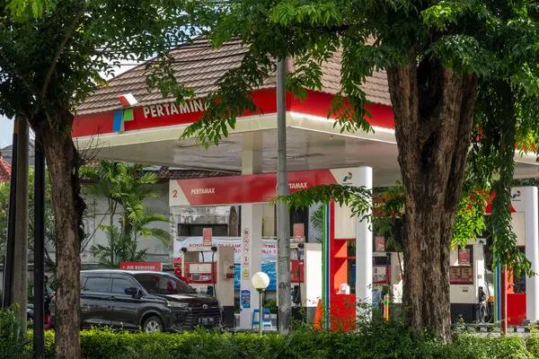 Bali, Endonezya - 23 Aralık 2024: 