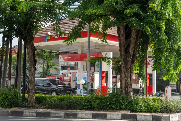 Bali, Endonezya - 23 Aralık 2024: 