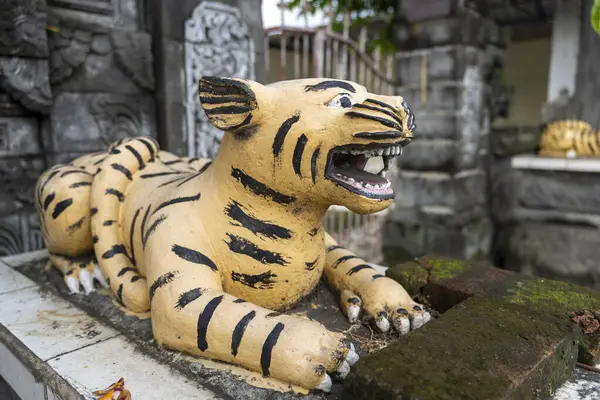 Bali, Endonezya - 23 Aralık 2024: Kaplan heykeli taş bir duvarda duruyor. Heykel sarı ve siyahtır ve ağzı açıktır. Heykel tuğla bir duvarla çevrili.