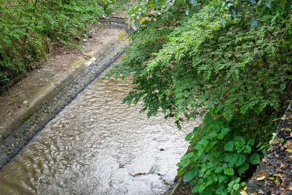 Ormanlık bir alandan akan su akıntısı. Su bulanık ve kahverengi, ağaçlar yemyeşil ve yemyeşil. Sahnenin huzurlu ve huzurlu bir havası var.