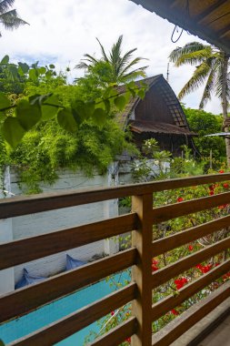 Havuzu ve beyaz şemsiyesi olan yemyeşil bir bahçe. Havuz bitkiler ve çiçeklerle çevrili, dingin ve rahatlatıcı bir atmosfer yaratıyor.