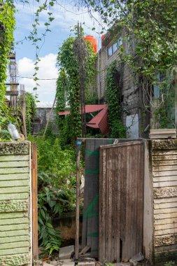 Küçük kapı bir bahçeye açıktır. Kapı ahşap ve üzerinde yeşil bir şerit var. Bahçe asmalar ve bitkilerle dolu.