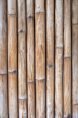 Bazıları beyaz, bazıları kahverengi olmak üzere bir dizi bambu çubuğu. Manzara sakin ve sakin. Bambu çubukları doğal ve organik bir şekilde dizilmiş gibi görünüyor.