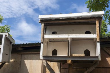 Üç bölümlü kuş evi ahşap bir yapının üzerinde..