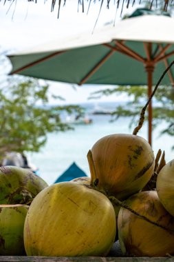 Taş bir çıkıntıda yeşil hindistan cevizi yığını. Hindistan cevizleri olgunlaştı ve yenmeye hazır.