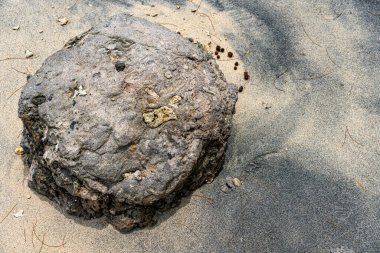 Büyük kaya kumlu bir sahilde oturur. Kayanın etrafı kumla çevrilidir ve üzerinde birkaç küçük kaya vardır. Huzurlu ve huzurlu bir sahne.