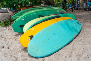 Sahilde bir sürü sörf tahtası var. Sörf tahtaları yeşil ve sarı. Sörf tahtaları kullanılmıyor