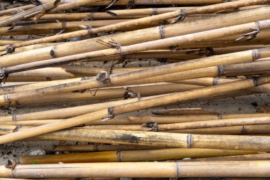 Bir demet bambu çubuğu yere yığılır. Çubuklar kahverengi ve eski gibi görünüyor. Görüntünün kırsal ve doğal bir havası var.