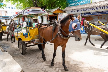 Gili, Lombok, Endonezya - 3 Ocak 2025: At, yüzünde mavi ve beyaz bir maske olan bir arabayı çekiyor. Araba sarıdır ve mavi ve beyaz bir tasarımı vardır. At tuğla bir yolda duruyor.