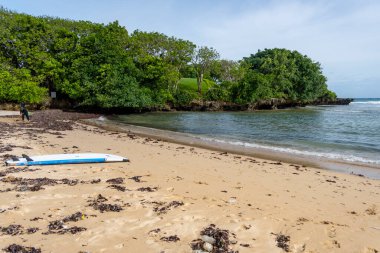 Kumsalda kumsalda sörf tahtası vardı. Kumsal yosunla kaplı ve su sakin.