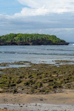 Sahilde kayalık bir kıyı şeridi ve uzakta büyük bir ada var. Su sakin ve gökyüzü bulutlu.