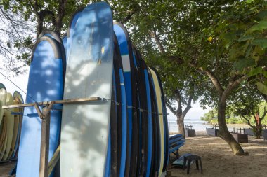Bir sürü sörf tahtası güneşe yığılmış. Sörf tahtaları mavi ve beyaz.