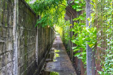 Sağ tarafında çit olan dar bir yol. Yol ıslak ve üzerinde bir sürü yosun yetişiyor.