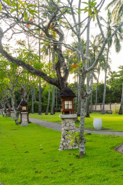 Bali, Endonezya - 19 Aralık 2024: Sokak lambalı ve arka planda bir ev. Sokaklar ağaçlar ve çalılarla dolu.