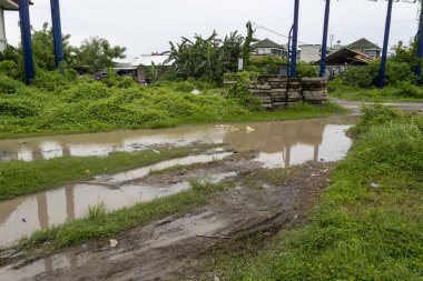 Bir sürü yabani ot ve çöp dolu çamurlu bir yol. Yol sular altında ve su bulanık.
