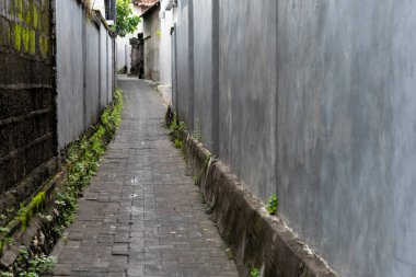 Dar bir sokak, tuğla bir patika ve iki tarafında da duvar var. Duvar gri ve yol yosunla kaplı.