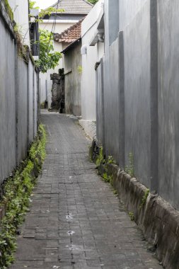 Dar bir sokak, tuğla bir patika ve iki tarafında da duvar var. Duvar gri ve yol yosunla kaplı.