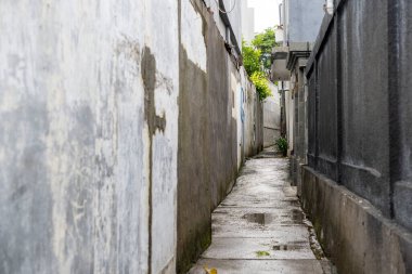 Dar bir sokak, tuğla bir patika ve iki tarafında da duvar var. Duvar gri ve yol yosunla kaplı.