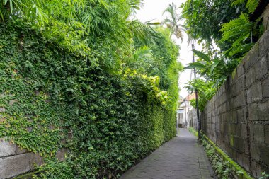 Dar bir sokak, tuğla bir patika ve iki tarafında da duvar var. Duvar gri ve yol yosunla kaplı.