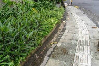 Kaldırımda tuğla kaldırım ve yanında da bir sıra bitki var. Bitkiler yeşil ve kaldırım ıslak.
