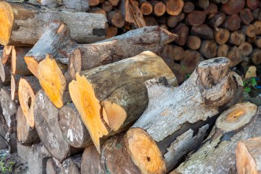 Üzerinde beyaz bir madde olan kütük yığınları var. Yığın farklı boyutlarda kütüklerden oluşuyor.