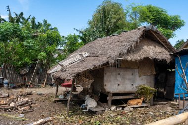 Gili, Lombok, Endonezya - 7 Ocak 2025: Samandan yapılmış çatısı olan küçük bir kulübe bir tarlada bulunuyor. Kulübe ağaçlarla çevrili ve yerde uyuyan bir keçisi var.