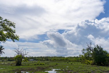 Arka planda birkaç ağaç olan bulutlu bir gökyüzü. Gökyüzü çoğunlukla mavi ve bulutlar etrafa saçılmış.