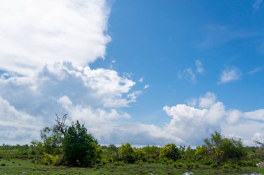 Arka planda birkaç ağaç olan bulutlu bir gökyüzü. Gökyüzü çoğunlukla mavi ve bulutlar etrafa saçılmış.