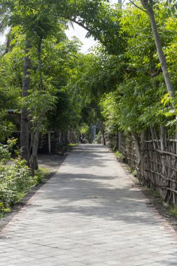 Sağ tarafında çit olan bir ormanın içinden geçen yol. Yol ağaçlar ve çalılarla kaplı.