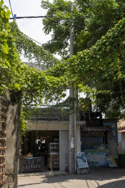 Gili, Lombok, Endonezya - 8 Ocak 2025: Üzerinde 